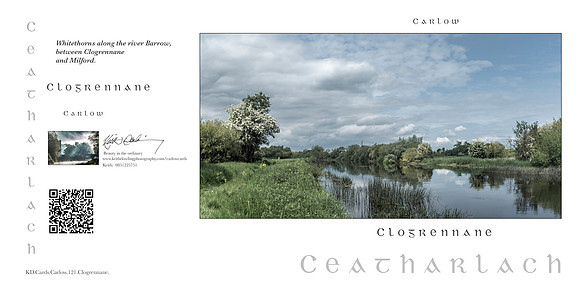 280 x 140 Half Fold Greetings Card
