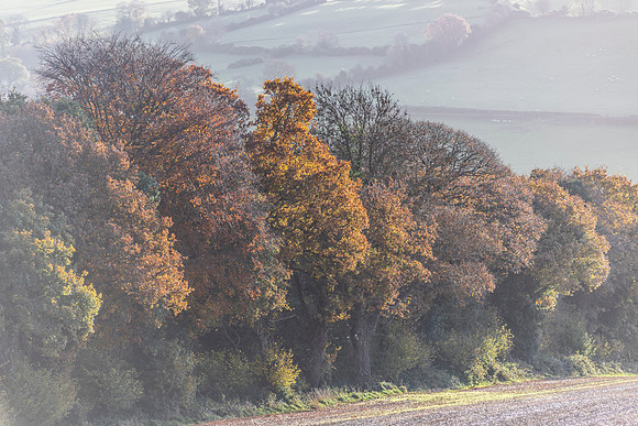 Edge of the Village.