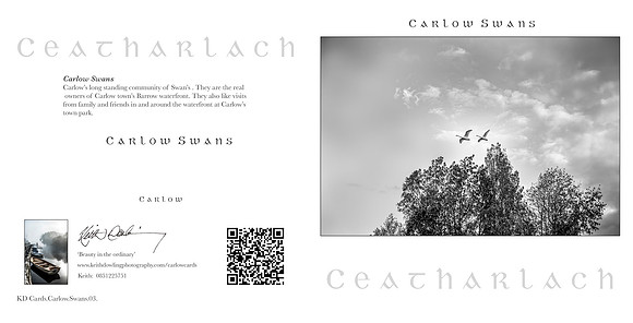 280 x 140 Half Fold Greetings Card