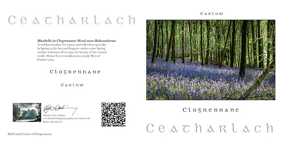 280 x 140 Half Fold Greetings Card