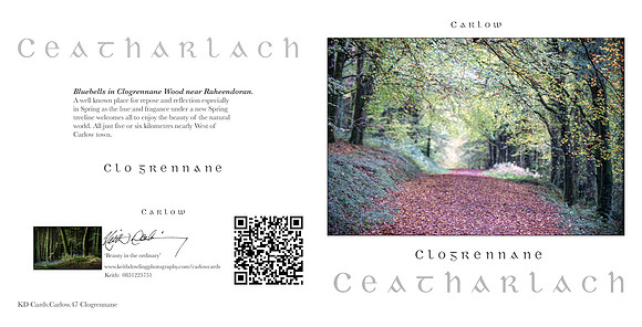 280 x 140 Half Fold Greetings Card