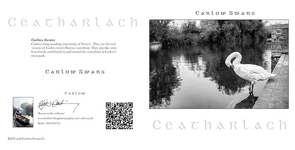280 x 140 Half Fold Greetings Card