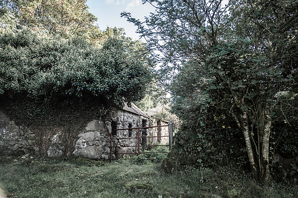 Near Rathneeska