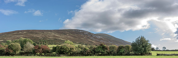Toward Glynn.