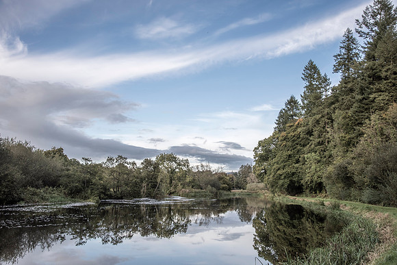 Between Clasganney and Graiguenamanagh on the Barrow.