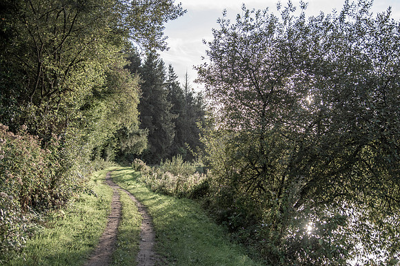 Between Clasganney and Graiguenamanagh on the Barrow.