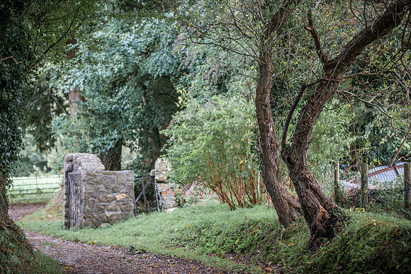 Near the Castle.