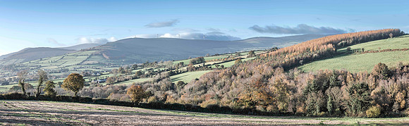 Toward Kilbrannish