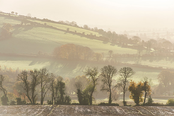 Edge of the Village.