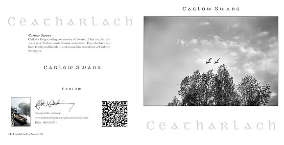 280 x 140 Half Fold Greetings Card