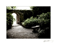 Altimont gardens near Ballon. 20x16  OR  10x8