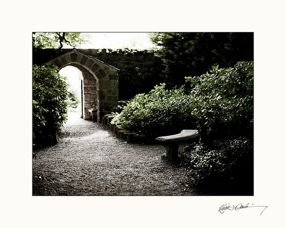 Altimont gardens near Ballon. 20x16  OR  10x8