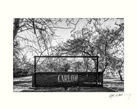 Larry's Trailer. St Patricks Carlow.  20x16  OR  10x8