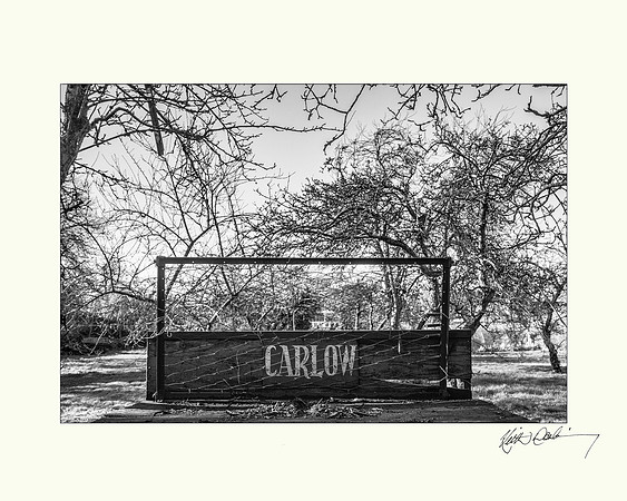 Larry's Trailer. St Patricks Carlow.  20x16  OR  10x8