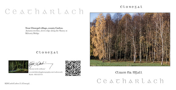 280 x 140 Half Fold Greetings Card