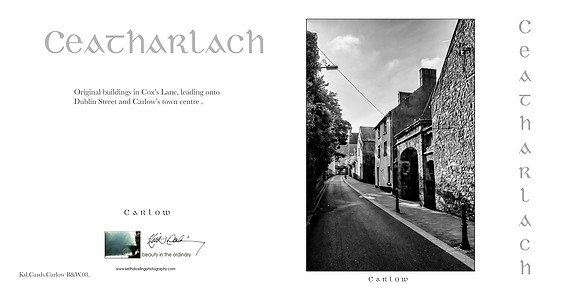 280 x 140 Half Fold Greetings Card
