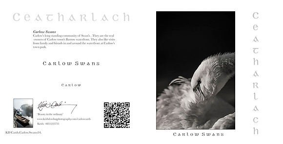 280 x 140 Half Fold Greetings Card