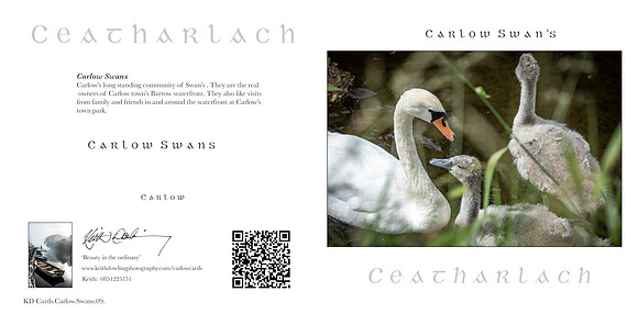 280 x 140 Half Fold Greetings Card