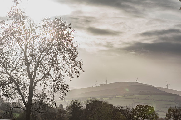 Kilbrannish from Banks Lane.