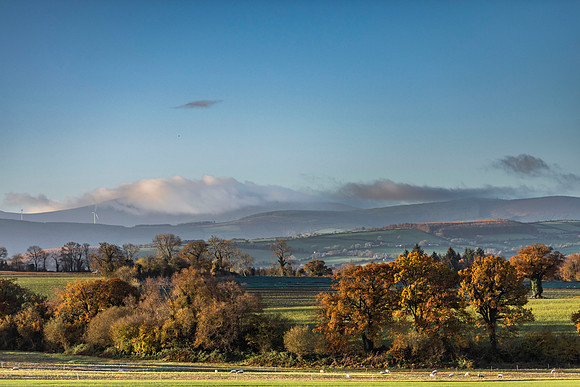 Near Coilte and the Black Lion.