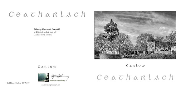 280 x 140 Half Fold Greetings Card