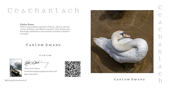 280 x 140 Half Fold Greetings Card