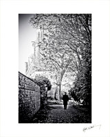 Cathedral of the Assumption Carlow. 20x16 OR 10x8.