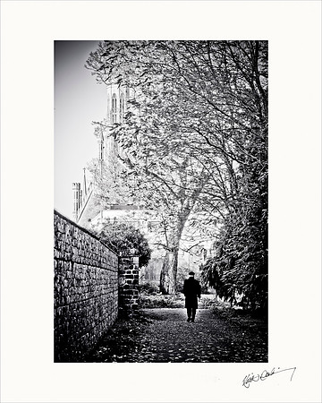 Cathedral of the Assumption Carlow. 20x16 OR 10x8.