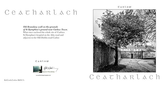 280 x 140 Half Fold Greetings Card