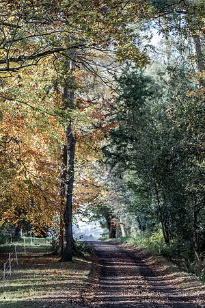 Toward Banks Lane