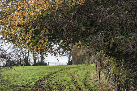 Edge of the Village.