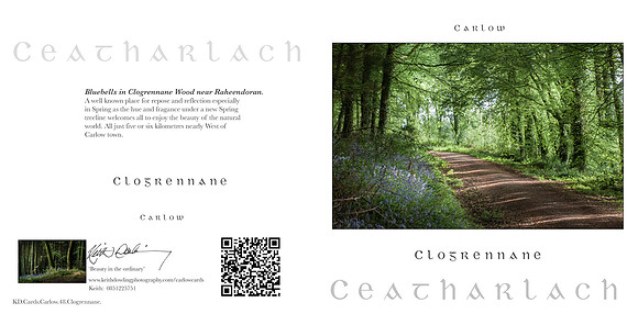 280 x 140 Half Fold Greetings Card