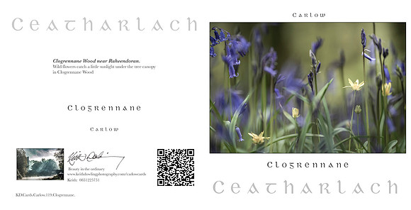 280 x 140 Half Fold Greetings Card