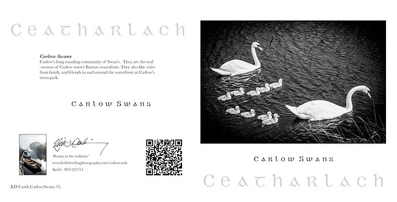 280 x 140 Half Fold Greetings Card