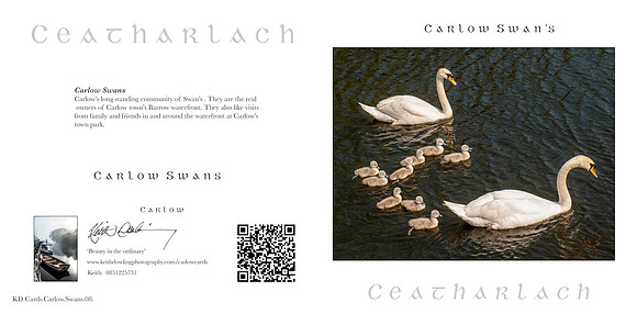 280 x 140 Half Fold Greetings Card