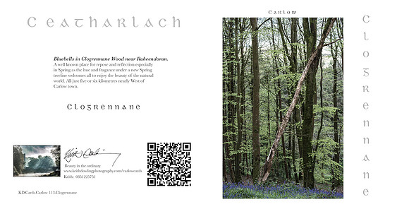 280 x 140 Half Fold Greetings Card