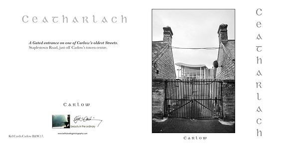 280 x 140 Half Fold Greetings Card