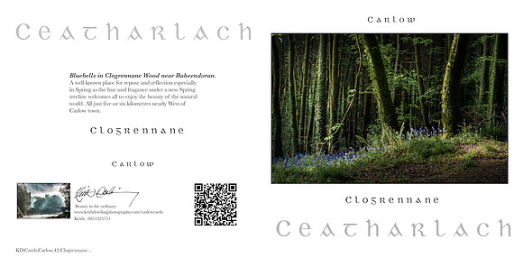 280 x 140 Half Fold Greetings Card