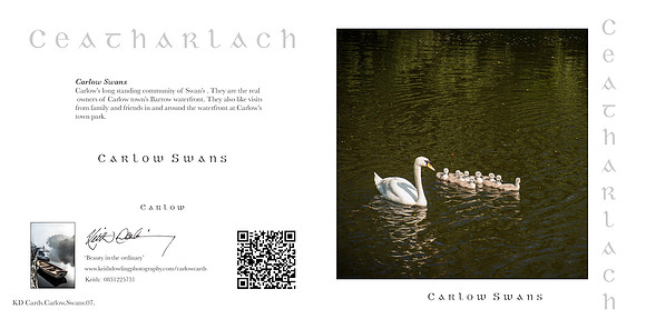 280 x 140 Half Fold Greetings Card
