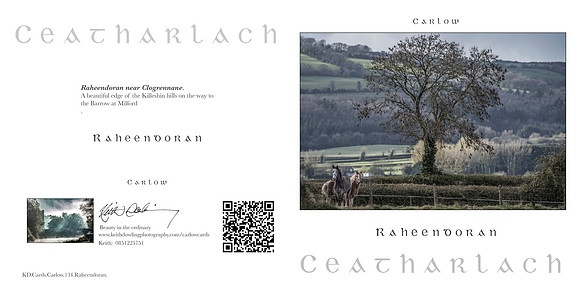 280 x 140 Half Fold Greetings Card