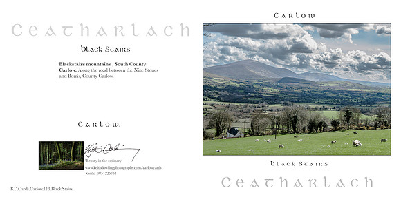 280 x 140 Half Fold Greetings Card